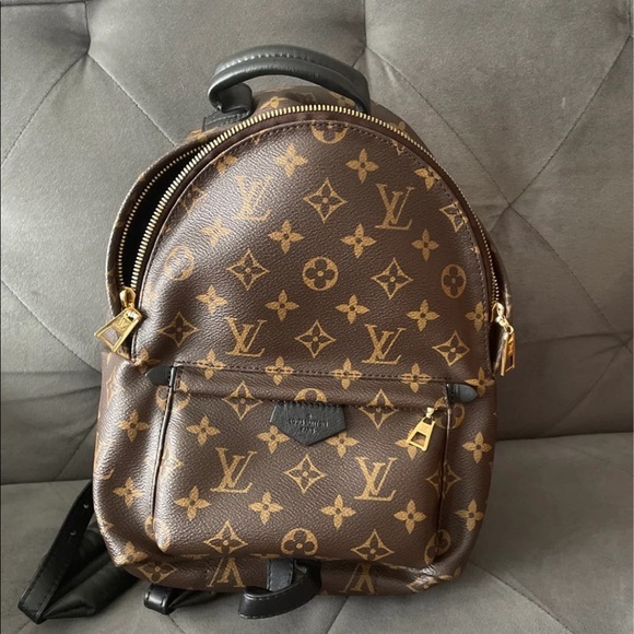 Louis Vuitton PALM SPRING Monogram PM size main image 13